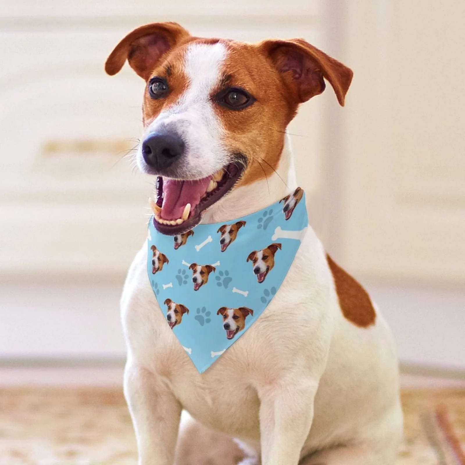 【Flash Sale】Custom Face Dog Bone Paw Print Blue Background Pajama Pants and Pet Dog Bandana