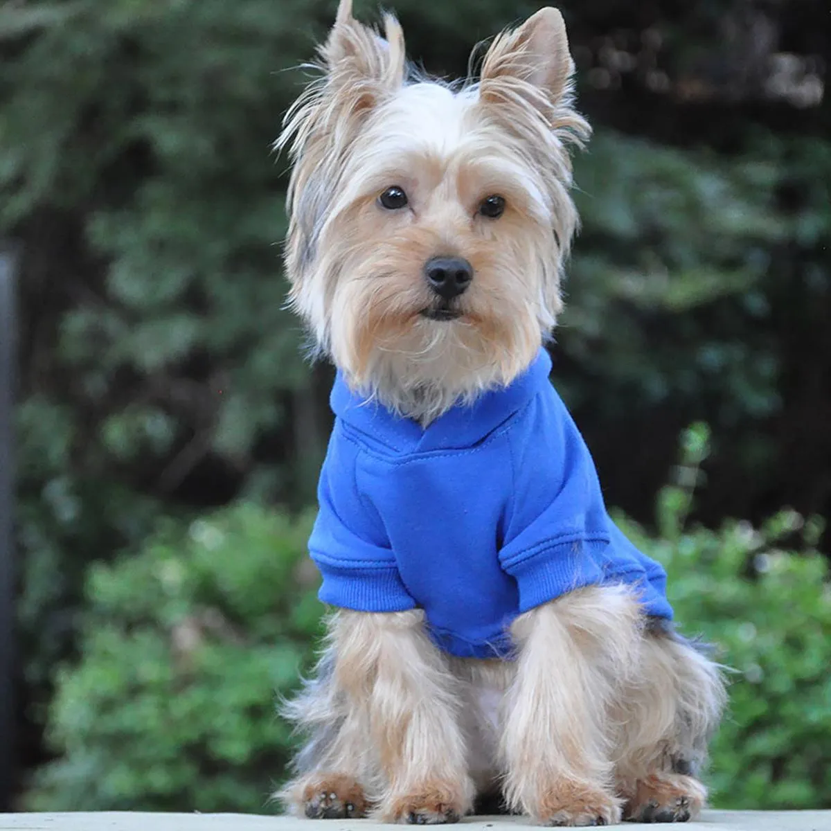 Flex-Fit Hoodie | Blue