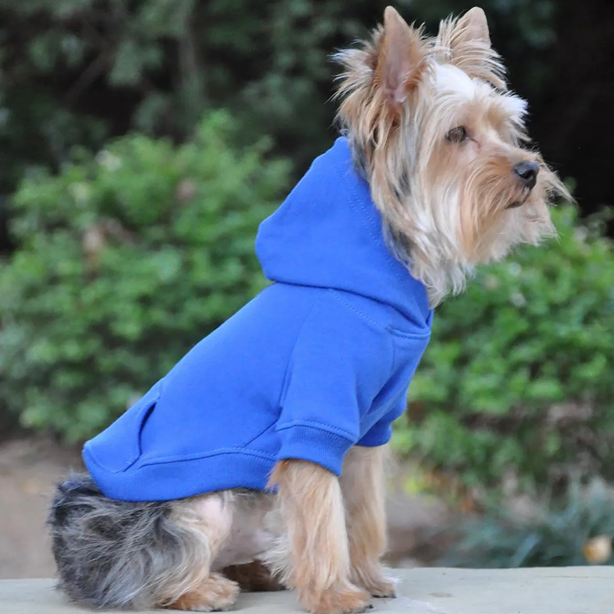 Flex-Fit Hoodie | Blue