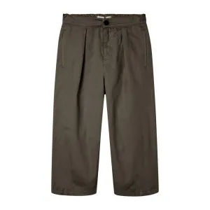 Pants Pleat Brown - sample