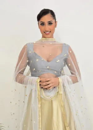 Rani Luxury Grey Silk Mirror Blouse (size 4-16)
